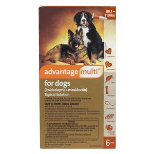 6 ct (88-100 lbs) Advantage Multi for Dogs 